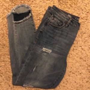 Lane Bryant Jeans